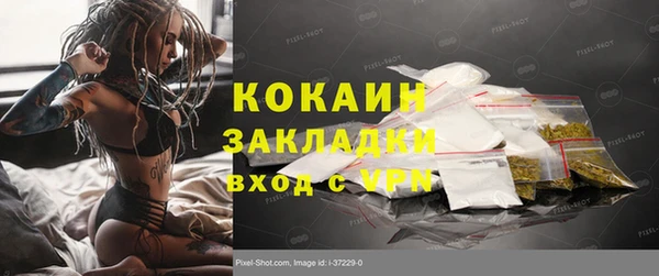 дурь Нея