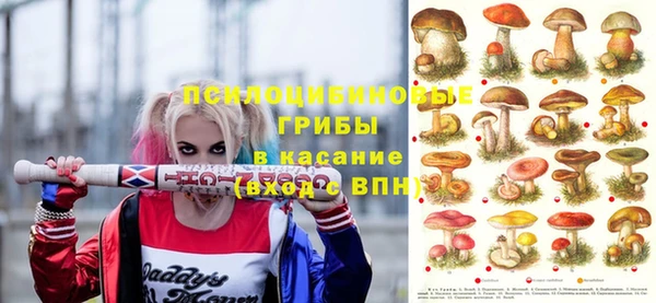 марки lsd Новозыбков