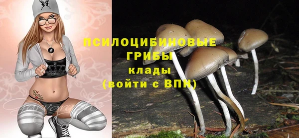 прущая мука Нефтегорск
